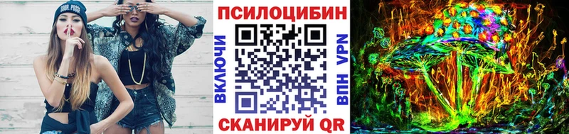 как найти закладки  Курчалой  Псилоцибиновые грибы ЛСД 